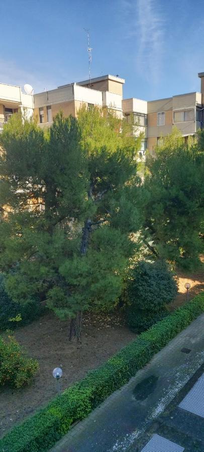 Apartament Garden *