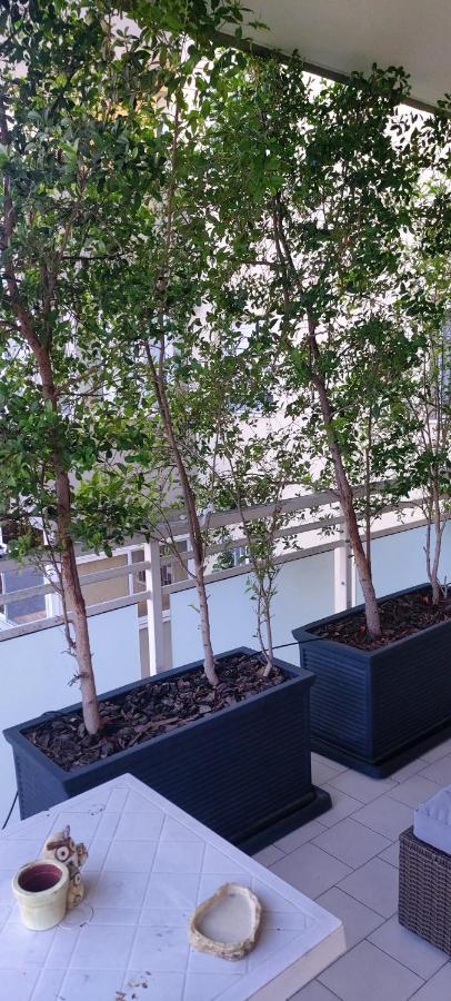 Garden Apartament Bari