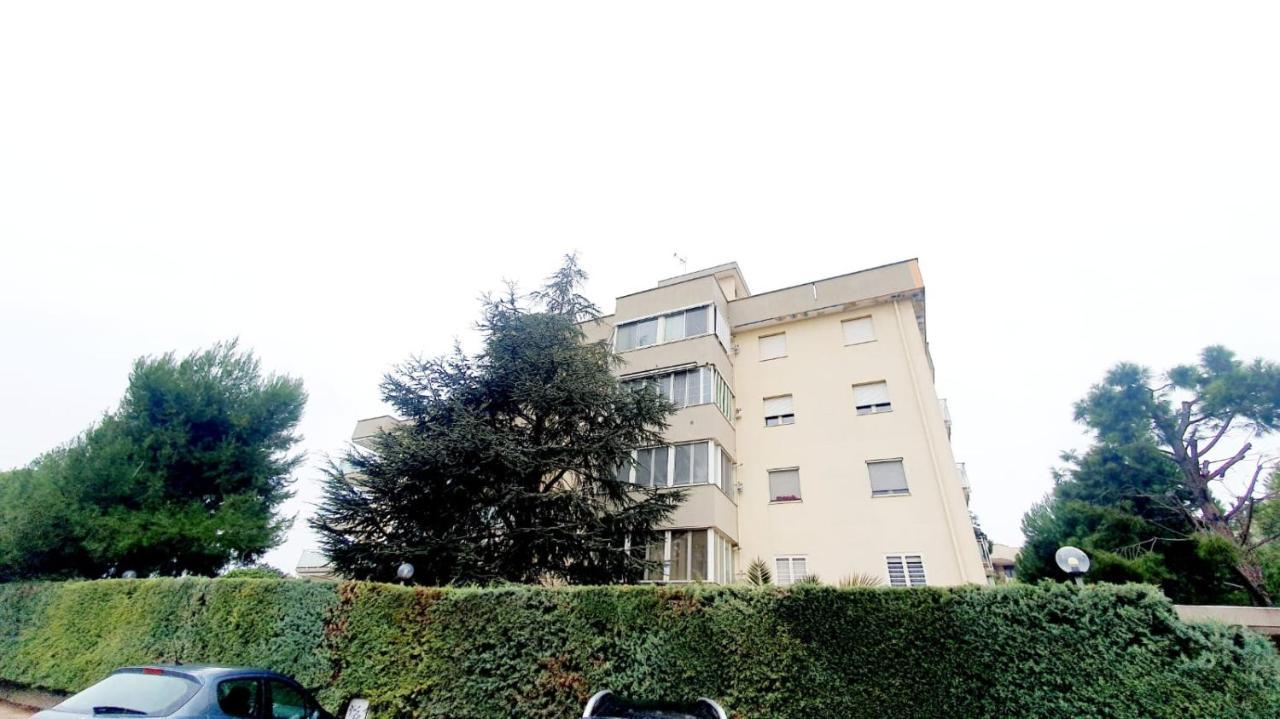 Garden Apartament